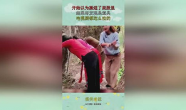 插屁股视频,背后真相与反思